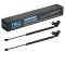 Hood Lift Support Set