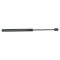 01-03 Acura CL; 99-01 Acura TL Hood Lift Support/Stay PAIR