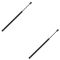 98-02 Honda Accord Hood Lift Support PAIR