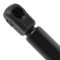 98-02 Honda Accord Hood Lift Support PAIR