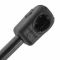 98-02 Honda Accord Hood Lift Support PAIR