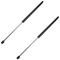 01-04 Chevy GMC Tahoe Suburban Yukon Trunk & Rear Glass Lift Support SET of 4