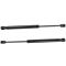 03-06 SL500; 03-06 SL55AMG; 04-06 SL600; 04-06 SL65AMG Trunk Lift Support Pair