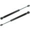 03-06 SL500; 03-06 SL55AMG; 04-06 SL600; 04-06 SL65AMG Trunk Lift Support Pair