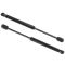 03-06 SL500; 03-06 SL55AMG; 04-06 SL600; 04-06 SL65AMG Trunk Lift Support Pair