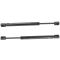 05-10 VW Jetta Trunk Lift Support Pair