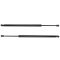 97-02 Ford Expedition; Lincoln Navigator Liftgate Lift Support Pair