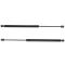 08-16 Buick Enclave Liftgate Lift Support Pair