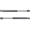 99-05 Impala; Monte Carlo; 99-03 Grand Prix w/o Spolier Trunk Lift Support Pair