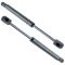 99-05 Impala; Monte Carlo; 99-03 Grand Prix w/o Spolier Trunk Lift Support Pair