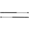 05-07 Nissan Murano Liftgate Lift Support Pair