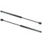 05-07 Nissan Murano Liftgate Lift Support Pair