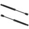 99-05 Impala; 99-04 Monte Carlo w/Spoiler Trunk Lid Lift Support Pair