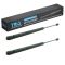 Hood Lift Support Set