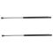 05-06 Suburban; 04-06 Tahoe, Yukon Hatch Lift Support PAIR