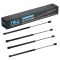Lift Support Set