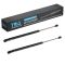 Liftgate Lift Support Set