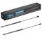 Liftgate Lift Support Set