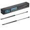 Liftgate Lift Support Set