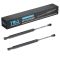Hood Lift Support Set