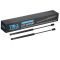 Hood Lift Support Set