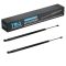 Liftgate Lift Support Set