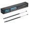 Liftgate Lift Support Set