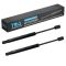 Trunk Lid Lift Support Set