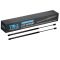 Back Glass Lift Support Set
