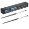 Liftgate Lift Support Set