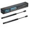 Trunk Lid Lift Support Set