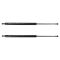 Lift Support Set