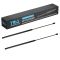 Hood Lift Support Set