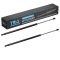 Liftgate Lift Support Set