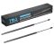 Liftgate Lift Support Set