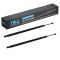 Liftgate Lift Support Set