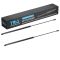 Hood Lift Support Set