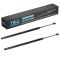 Liftgate Lift Support Set