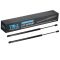 Liftgate Lift Support Set