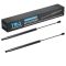 Liftgate Lift Support Set