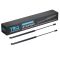 Hood Lift Support Set