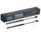 Hood Lift Support Set