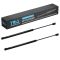 Liftgate Lift Support Set