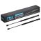 Hood Lift Support Set