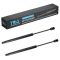 Hood Lift Support Set
