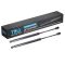 Trunk Lid Lift Support Set