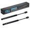 Trunk Lid Lift Support Set