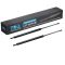 Liftgate Lift Support Set
