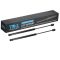 Back Glass Lift Support Set