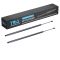 Liftgate Lift Support Set